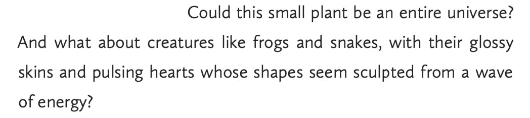 A screenshot of text that reads: “Could this small plant be the entire universe? And what about creatures like frogs and snakes, with their glossy skins and pulsing hearts whose shapes seem sculpted by a wave of energy?” 