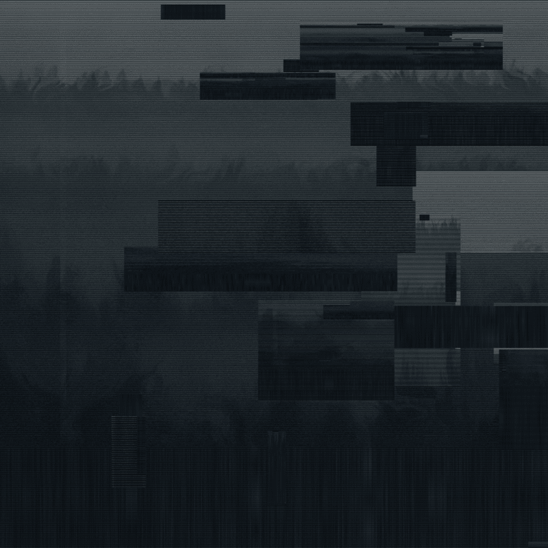 A digital image dimly decpiting a forest, fragmented into multiple layers and interrupted with rectilinear forms that look like compression artifacts