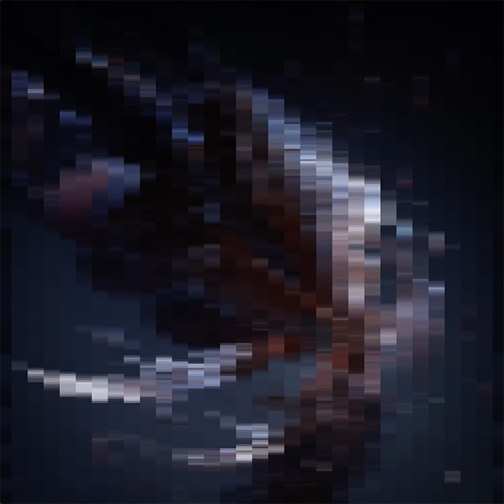 A pixelated dark image—unclear of what, but it has white talons of some kind