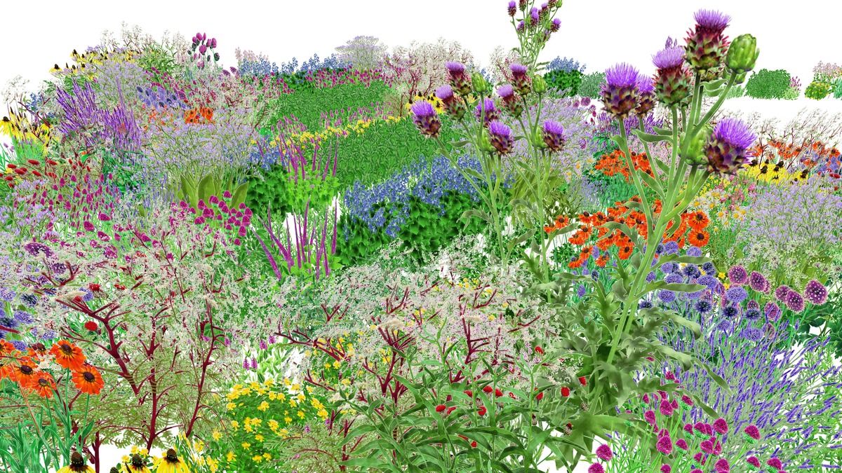 A digital drawing of a garden with a profusion of blooms in different colors