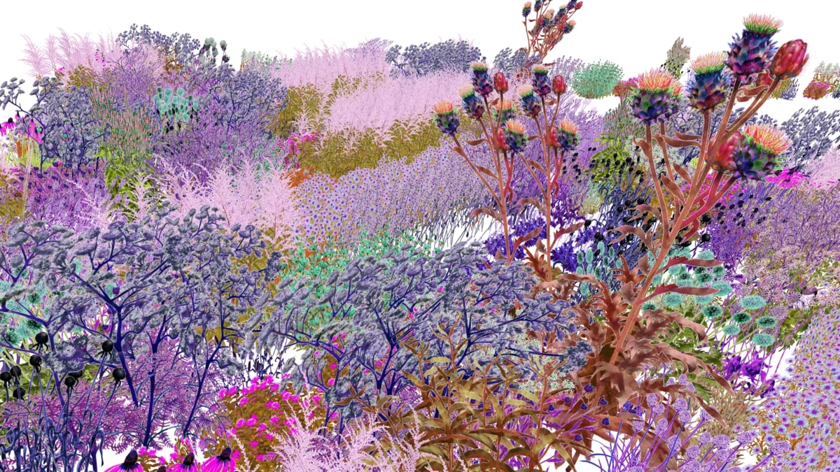 A digital drawing of a garden with a profusion of blooms, all in different colors from real life--tending more towards violets and pinks