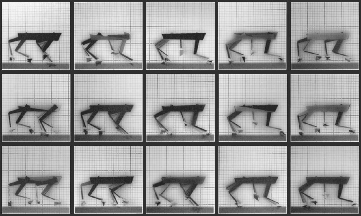 A grid of fifteen digitally generated images, each showing a schematic dog-like figure walking