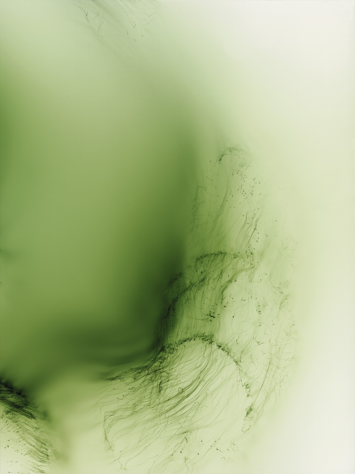 An abstract image with green and white swirls