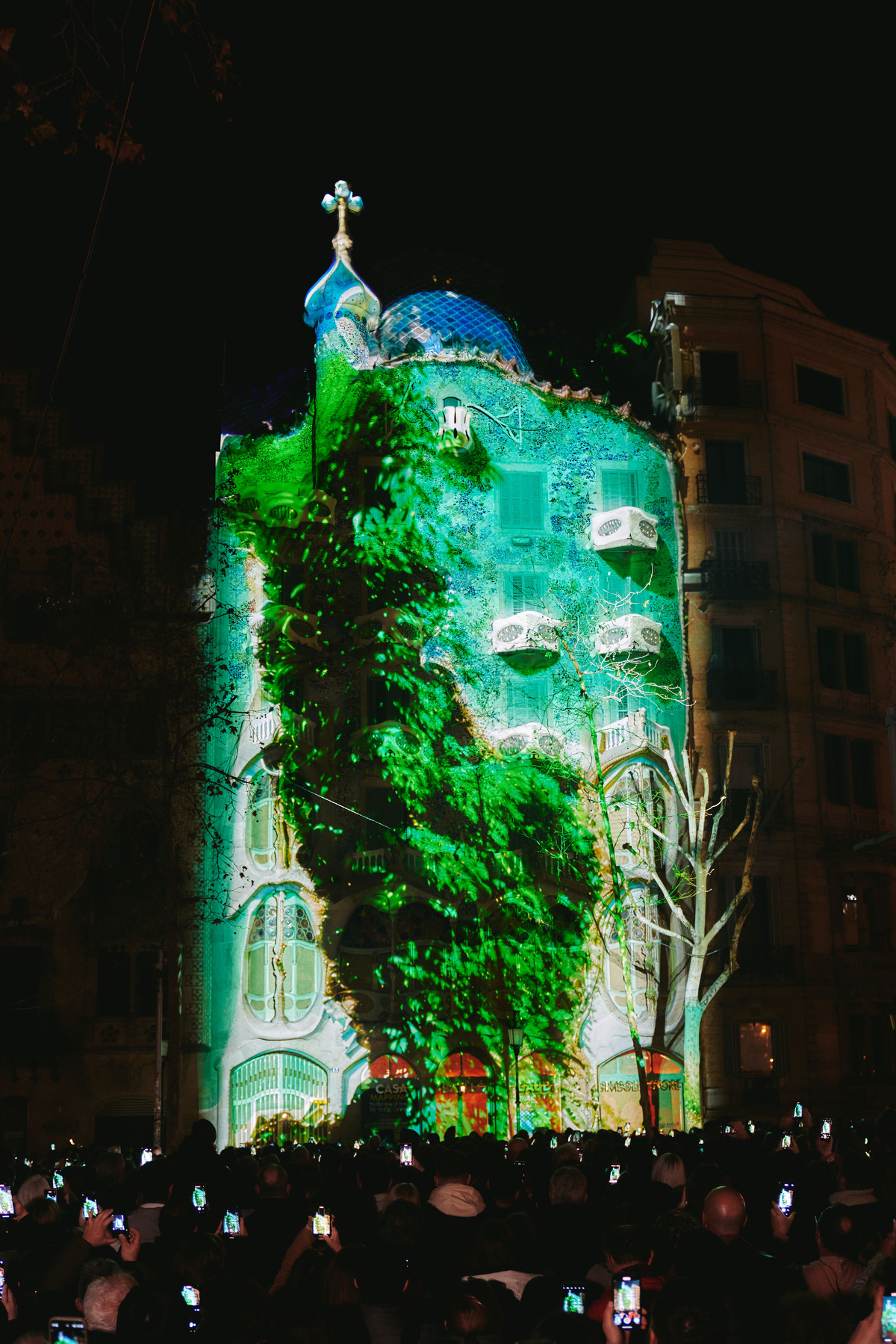A night-time photo of a projection on Casa Batlló, here bathed in green and blue patterns