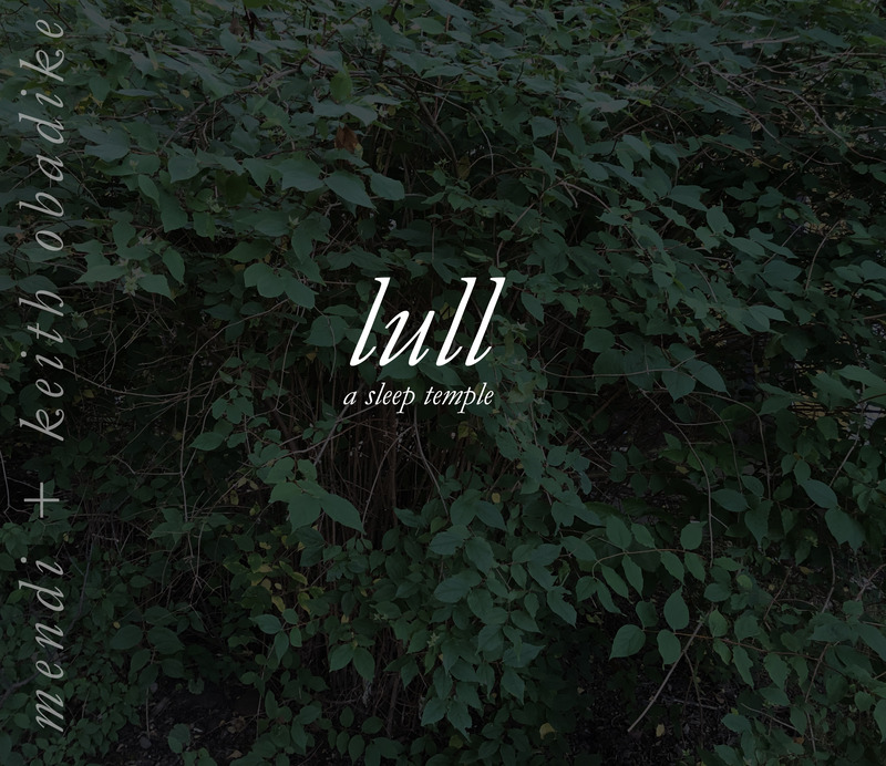 The words "lull" appear in white italic letters over a photograph of a leafy green bush at dusk