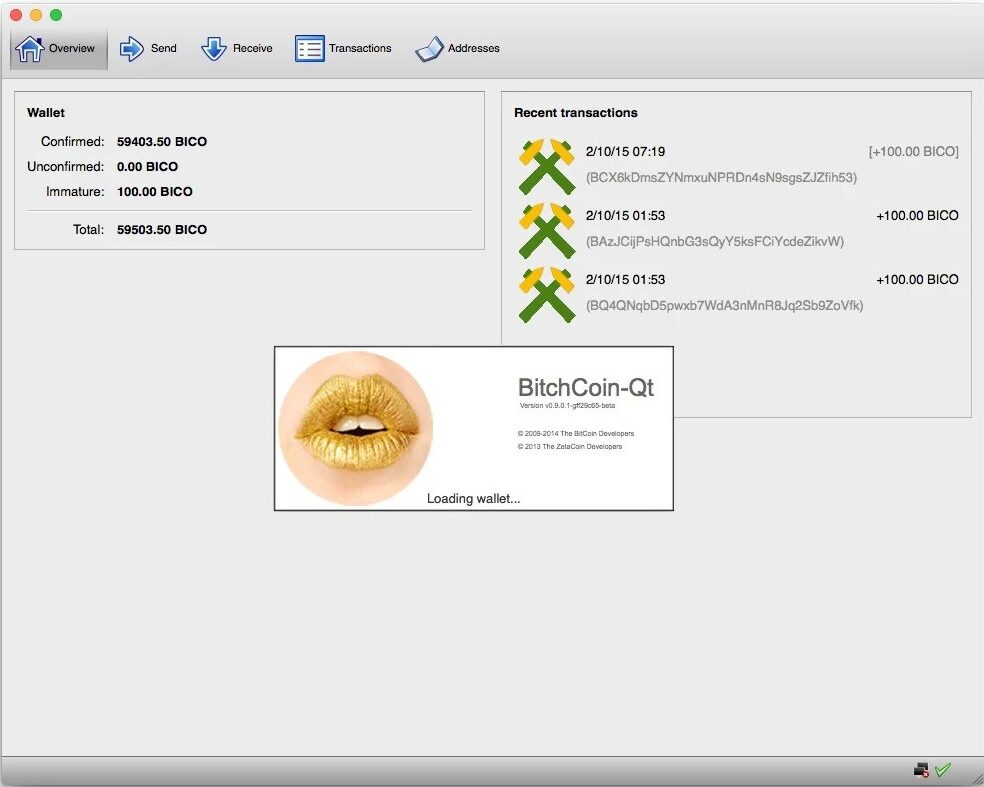 A screenshot showing a platform for transferring currency for Bitchcoin
